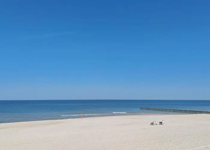 Awesome In * أوسترونيه مورسكية